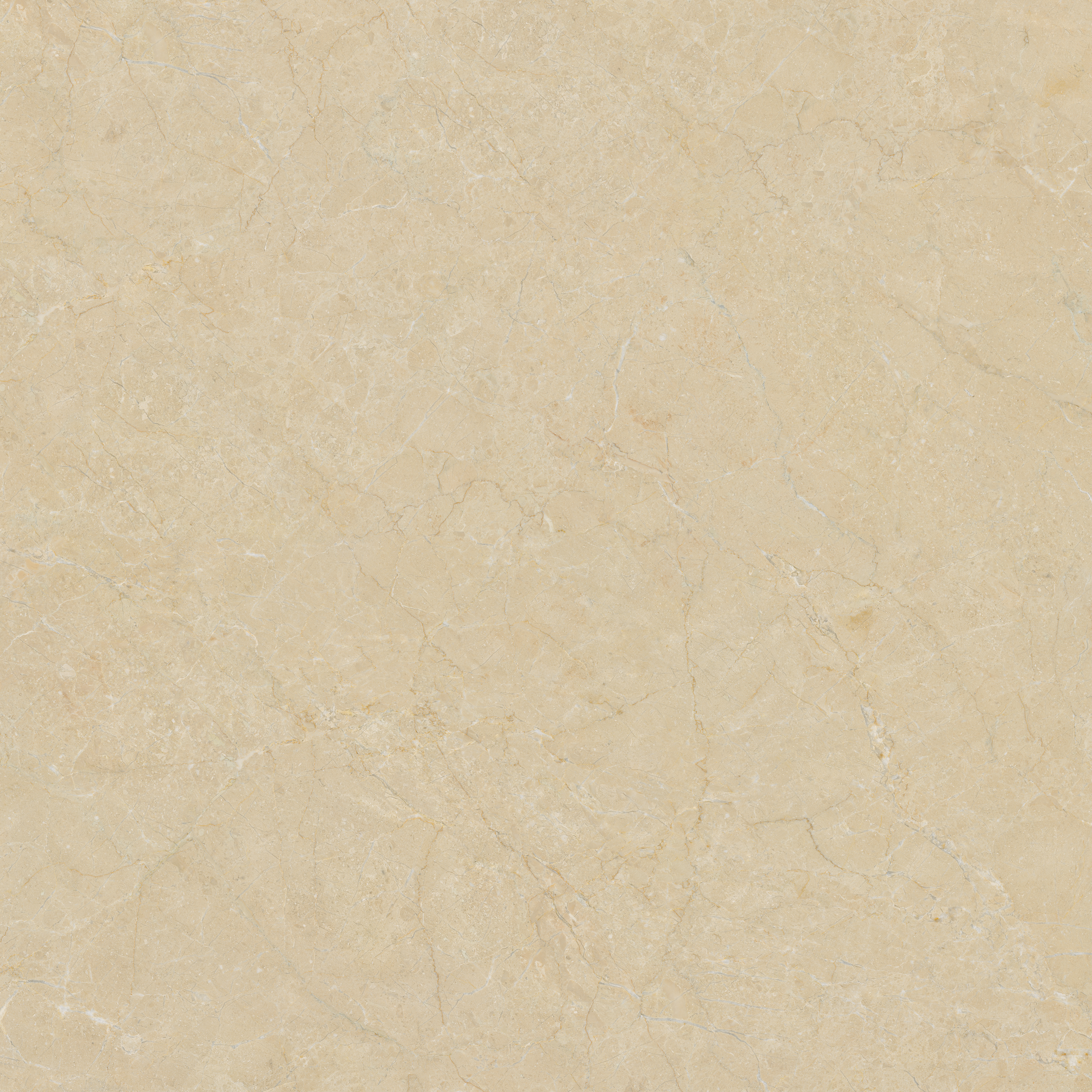 Gạch ốp lát Libon Formal Marfil, Glossy, 120x120